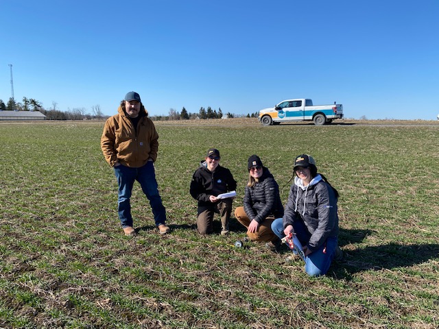 Crops Representative out int he wheat field test plot counting