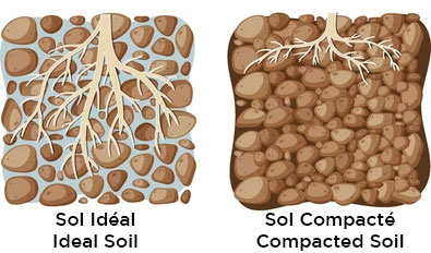 Diagram of ideal soil versus compacted soil